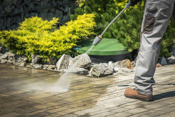 Best Vinyl Siding Pressure Washing in La Nte, MO